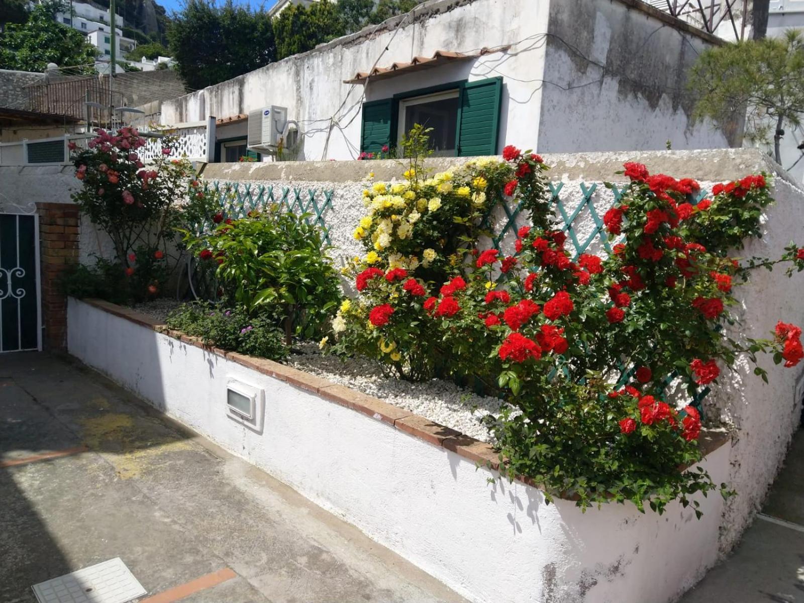 La Marocella Villa Capri Exterior photo